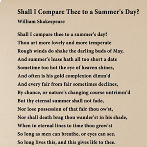 [나무자전거]그래픽스티커 [sp] Shall I Compare Thee to a Summer&#039;s Da, 나무자전거