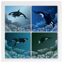 멀티액자,cf154-멀티액자_바닷속을헤엄치는범고래,동물,야생동물,야생,바다,바닷속,헤엄,범고래,고래,해초,깊은바다
